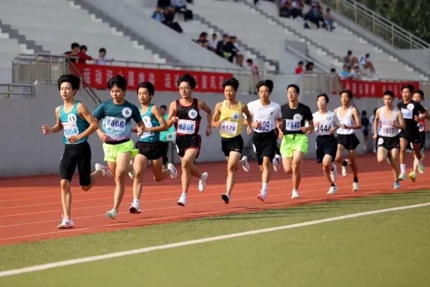 赛事数据解读：一场比赛里哪些统计指标真正值得普通观众看
